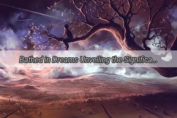 Bathed in Dreams Unveiling the Significance of Washing a Child in Your Nighttime Visions